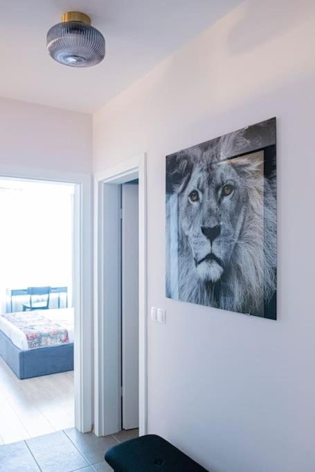 Apartamento Tokiyo: A Lovely Center 2 Bedrooms With Private Parking Sofía